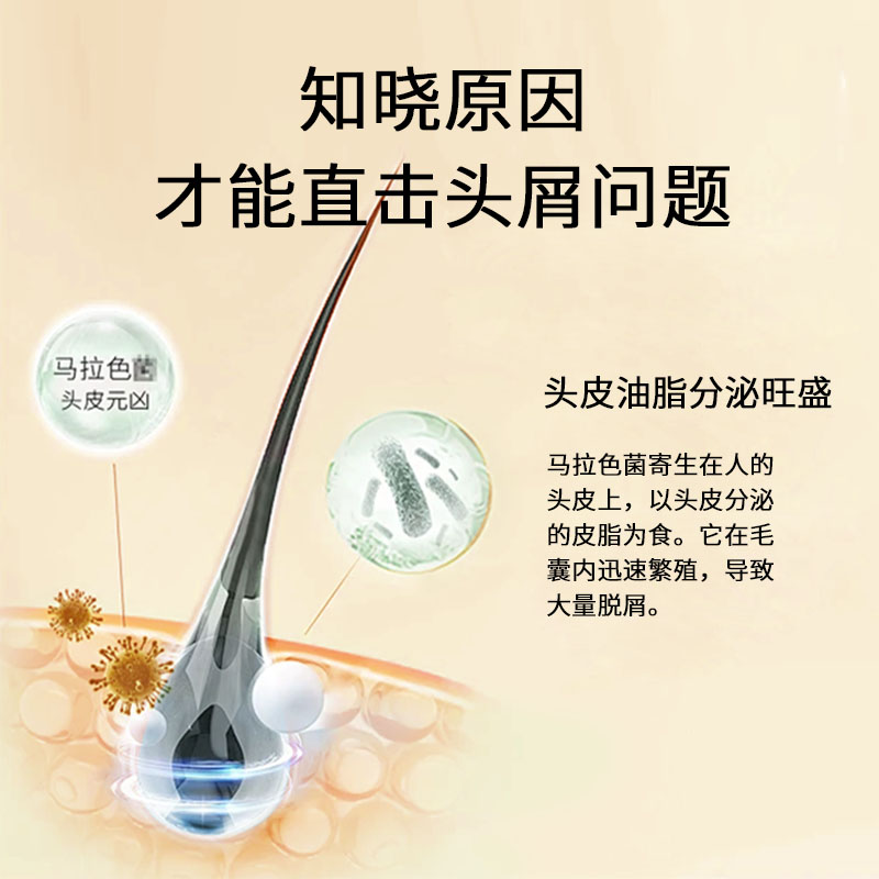 韓芙雪柔順絲滑洗發(fā)水